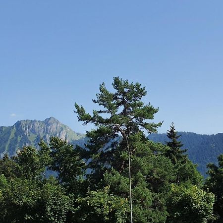 Heidi Apartment Лезен Екстериор снимка